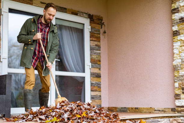 Yard Cleanup Services in Remington, IN